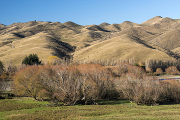 Fototapeta premium Sheep's Ranch and Hakataramea Valley South Island New Zealand