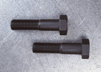 Screw Bolt