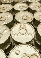 Canned foods for cats