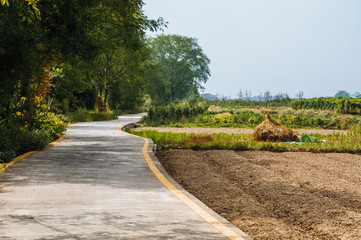 The country road scenery 