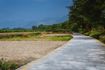 The country road scenery 