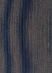 Fototapeta premium Stripe