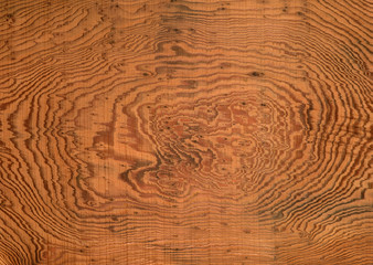 Naklejka premium Yaku Cedar