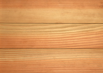 Naklejka premium Pine