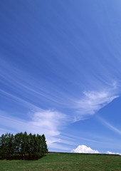 Blue Sky