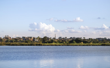 Fototapeta premium Beautiful nature of the coastline of the Nile river,Damietta,Egy