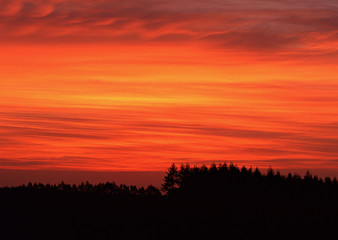 Obraz premium Morning Glow