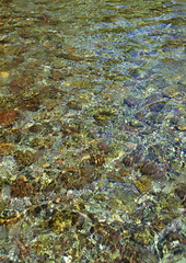 Surface of River