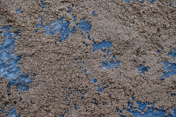 the sand on the pavement