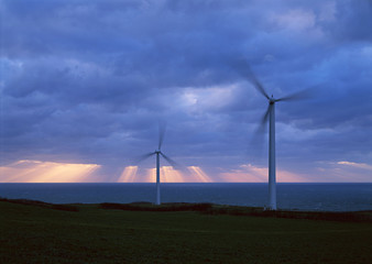 Wind Farm