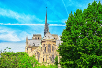 Fototapeta na wymiar Notre Dame de Paris Cathedral, most beautiful Cathedral in Paris