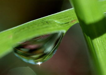Drop of Water