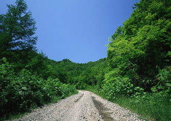 Road