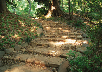 Stone Steps