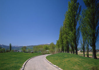 Park