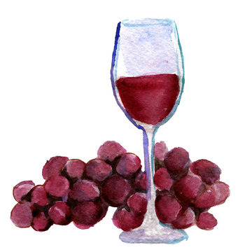 watercolor sketch of glass of vine and grapes on white backgroun
