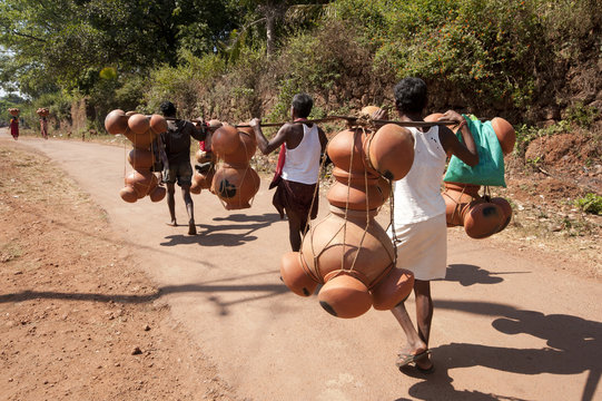 Bonda tribesmen walking to market carrying pots intended for village alcohol production, rural Orissa
