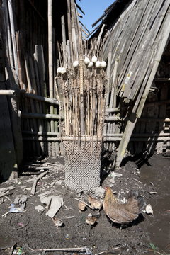 Hen and chicks by intricately woven Animist Donyi Polo shrine, made from bamboo, feathers and eggshells, Ziro, Arunachal Pradesh