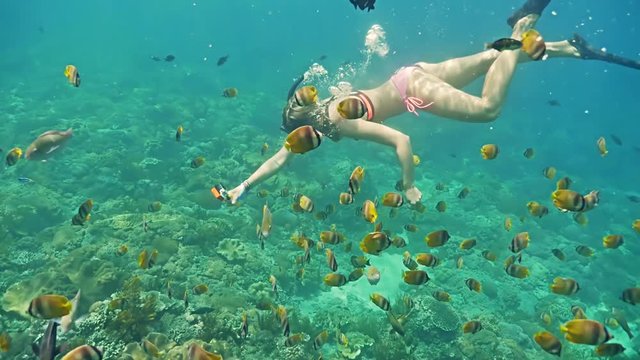 Underwater footage of a girl snorkeling with a group of colorful fish on the coral reef in Nusa Penida, Bali, Indonesia.