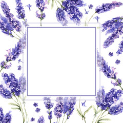 Wildflower lavender flower frame in a watercolor style isolated.