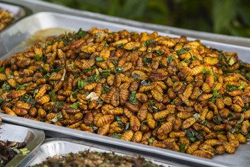 Fried silkworm in market, Thailand. Close up