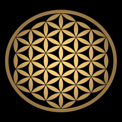 Sacred Geometry. Ancient gold Flower of Life symbol on a black background. Flower with six petals. The ancient symbol of the Seed of Life.