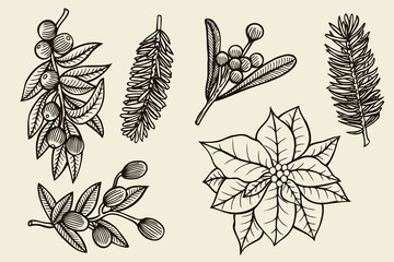 Vector set with Christmas plants.