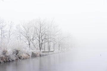 Winter fog on the bank of icy lake. Frozen trees.