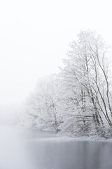 Obraz na płótnie Canvas Winter fog on the bank of icy lake. Frozen trees.