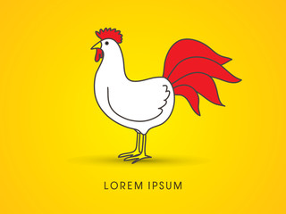 Chicken cartoon graphic vector