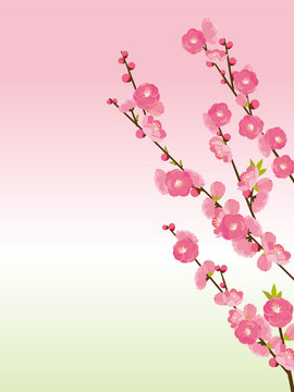 桃の花 の画像 125 987 件の Stock 写真 ベクターおよびビデオ Adobe Stock