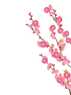 桃の花 の画像 123 722 件の Stock 写真 ベクターおよびビデオ Adobe Stock