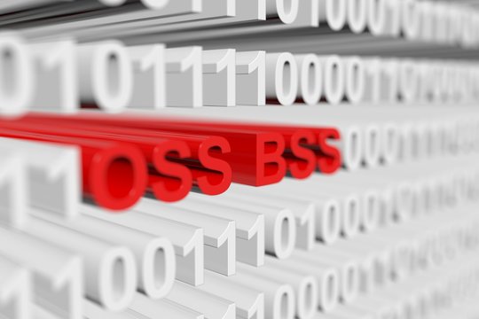 OSS BSS in binary code with blurred background 3D illustration