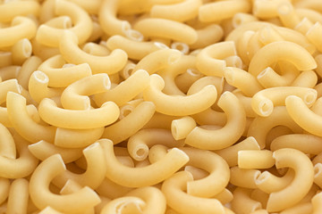 Raw elbow pasta closeup