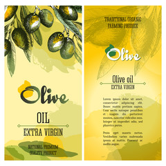 Olive branch vector colourful isolated leaflet layout with watercolour spots, text, lettering, olives and leaves on sketch hand drawn style.