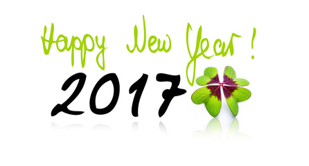 Neujahrsgruß 2017