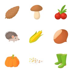 Falling leaves season icons set. Cartoon illustration of 9 falling leaves season vector icons for web