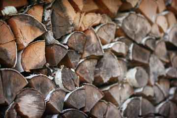 Fototapeta premium Firewood