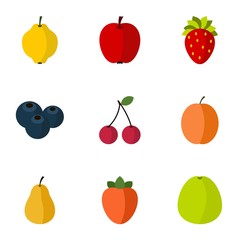 Farm fruits icons set. Flat illustration of 9 farm fruits vector icons for web