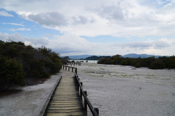Fototapeta premium Rotorua_Sulphor_Neuseeland
