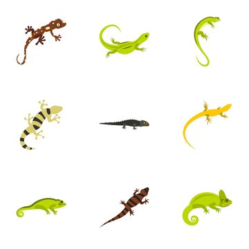 Lizard icons set. Flat illustration of 9 lizard vector icons for web