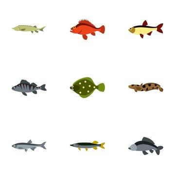 Ocean fish icons set. Flat illustration of 9 ocean fish vector icons for web