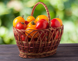 red and yellow tomatoes in a wicker basket on wooden table with blurred green background