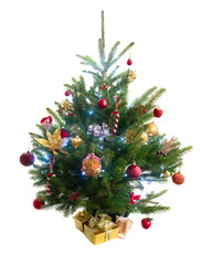 christmas evergreen natural fresh tree with holiday decorations and lights over white backgroundbackground