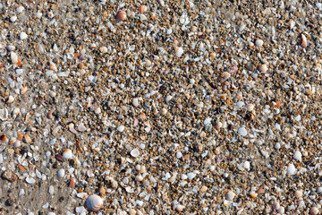 Small pebbles on a sandy beach background