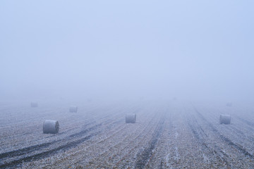 Straw bales on winter field