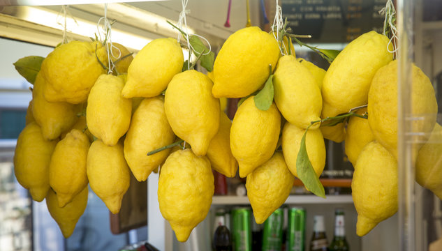 lemon capris