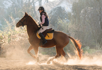 Fototapeta na wymiar Young girl riding a horse