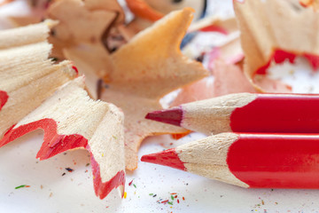 Sharpened colorful pencils and wood shavings