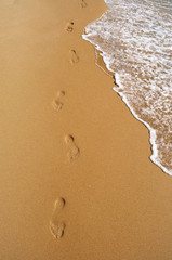 Footprints on a golden sunny sandy beach in resort on summer vacation rest, soft sea wave with foam. Background.
